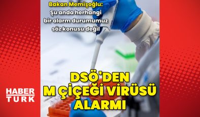 DSÖ, M çiçeği virüsünün "uluslararası öneme sahip bir halk sağlığı acil durumu oluşturduğunu" açıkladı – Güncel haberler | Sağlık Haberleri